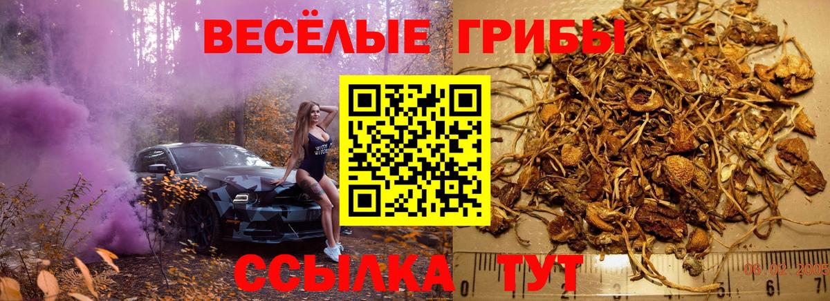 Нижневартовск  магазин  наркотиков  Вход с VPN  Галлюциногенные грибы MAGIC MUSHROOMS 