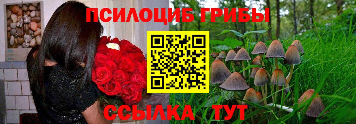Галлюциногенные грибы Psilocybine cubensis Нижневартовск